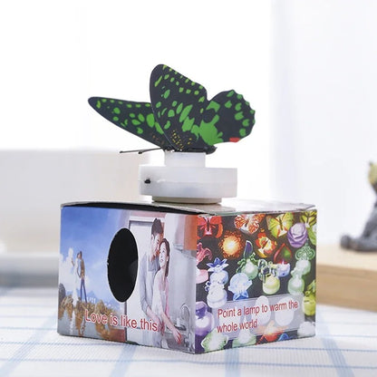 Butterfly LED (Pack of 3)